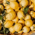 Bergamote
