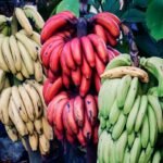 banane rouge