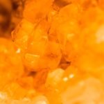 Ambre
