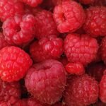 fruits rouges