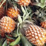 ananas